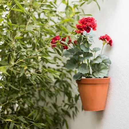 Alfama Design Lisboa