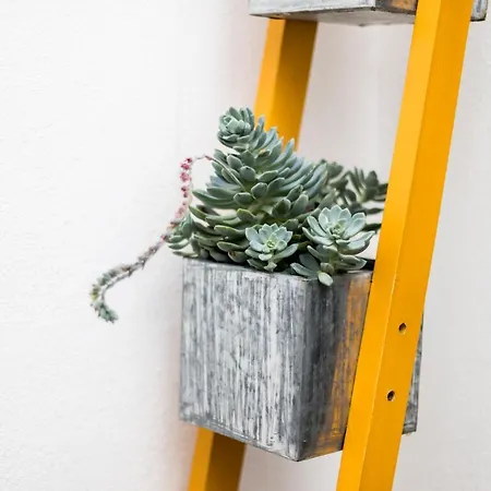 Alfama Design * Lizbona