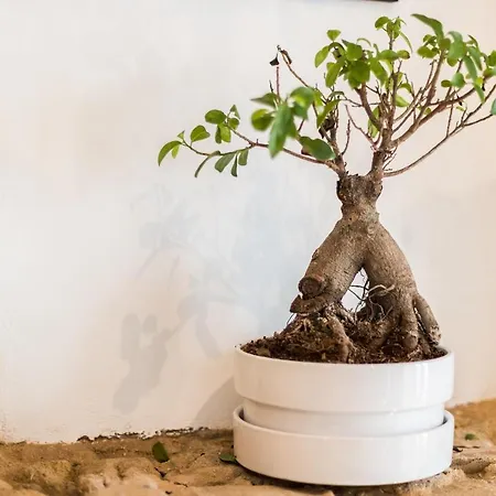 Apartman Alfama Design